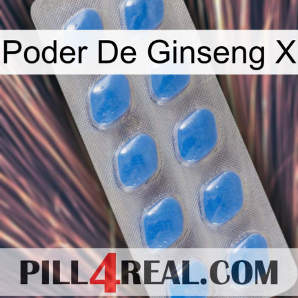 Ginseng Power X 22